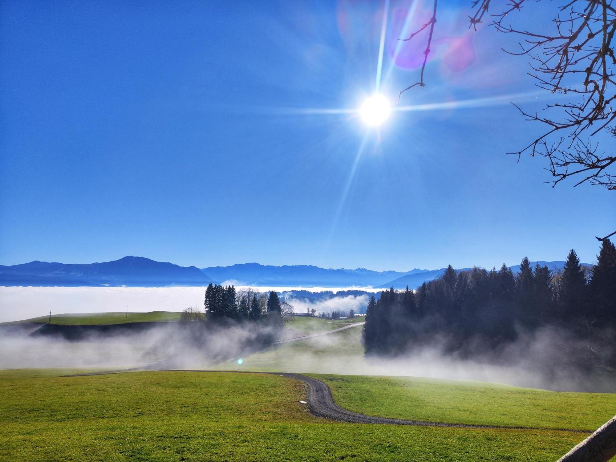 Alpseegruenten - Die Ferienwohnung Immenstadt im Allgäu Exterior foto